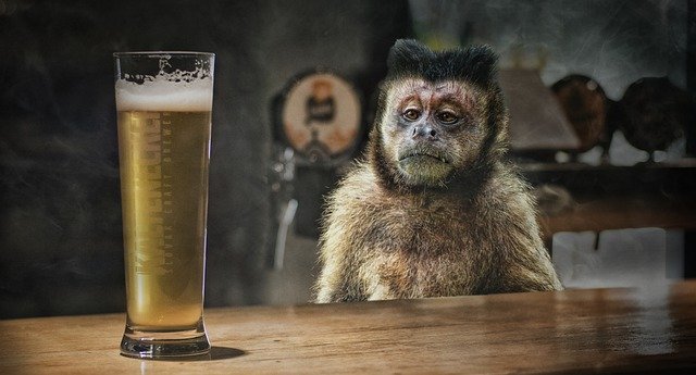 Kjøp AB inBev-aksjer